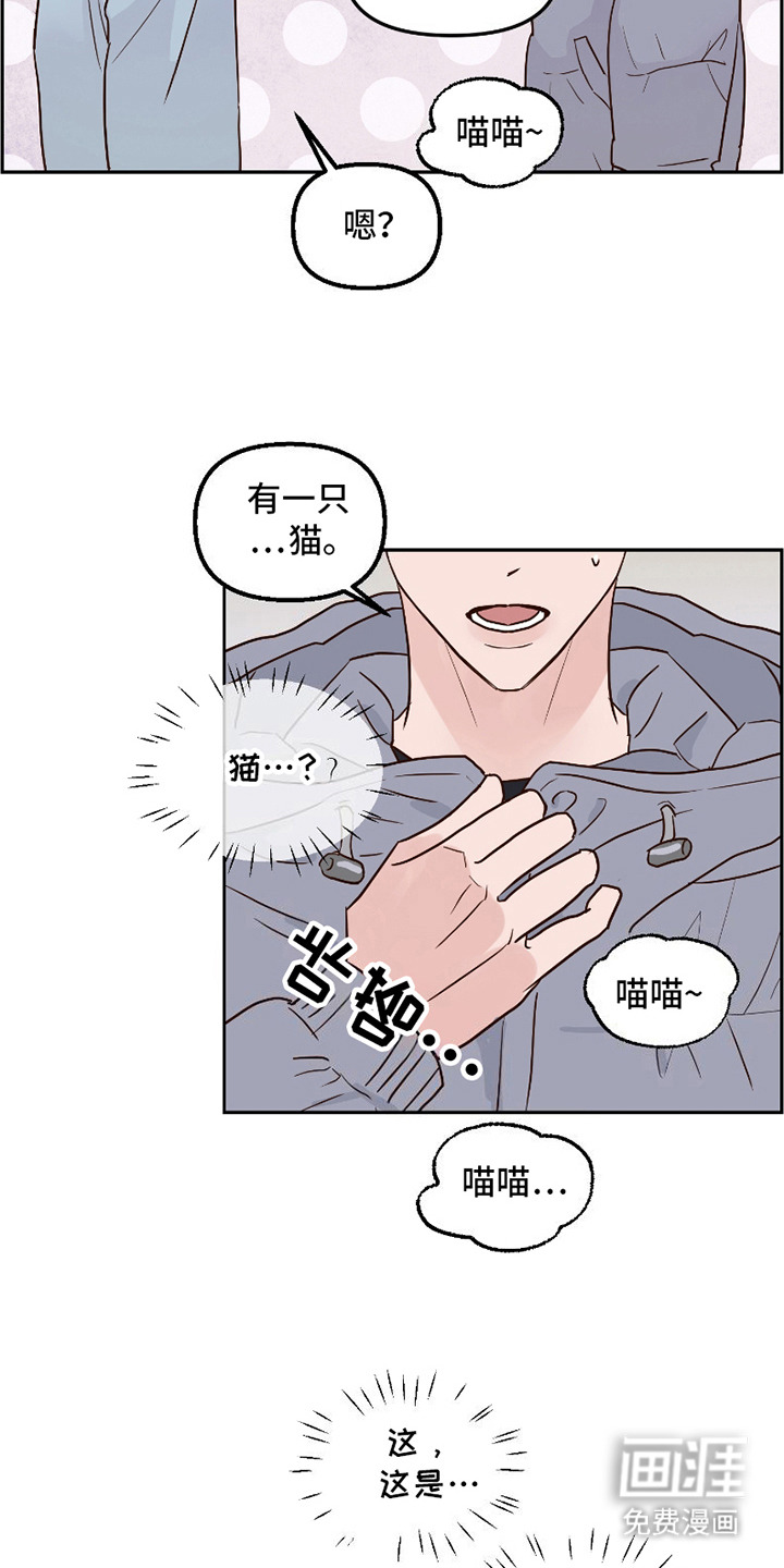 喜欢的牛奶少年 第14话 第19页