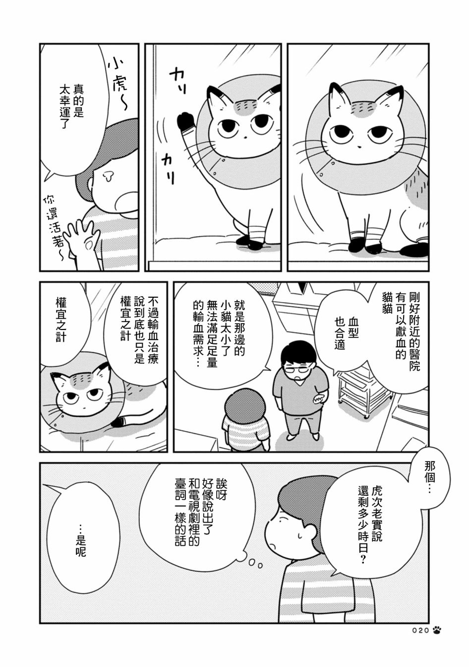 猫咪虎次漫长的一天 第3话 第2页