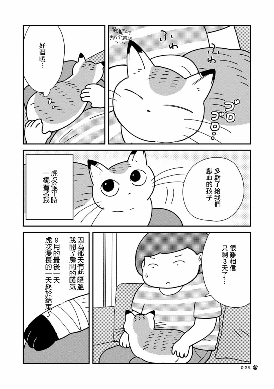 猫咪虎次漫长的一天 第3话 第6页
