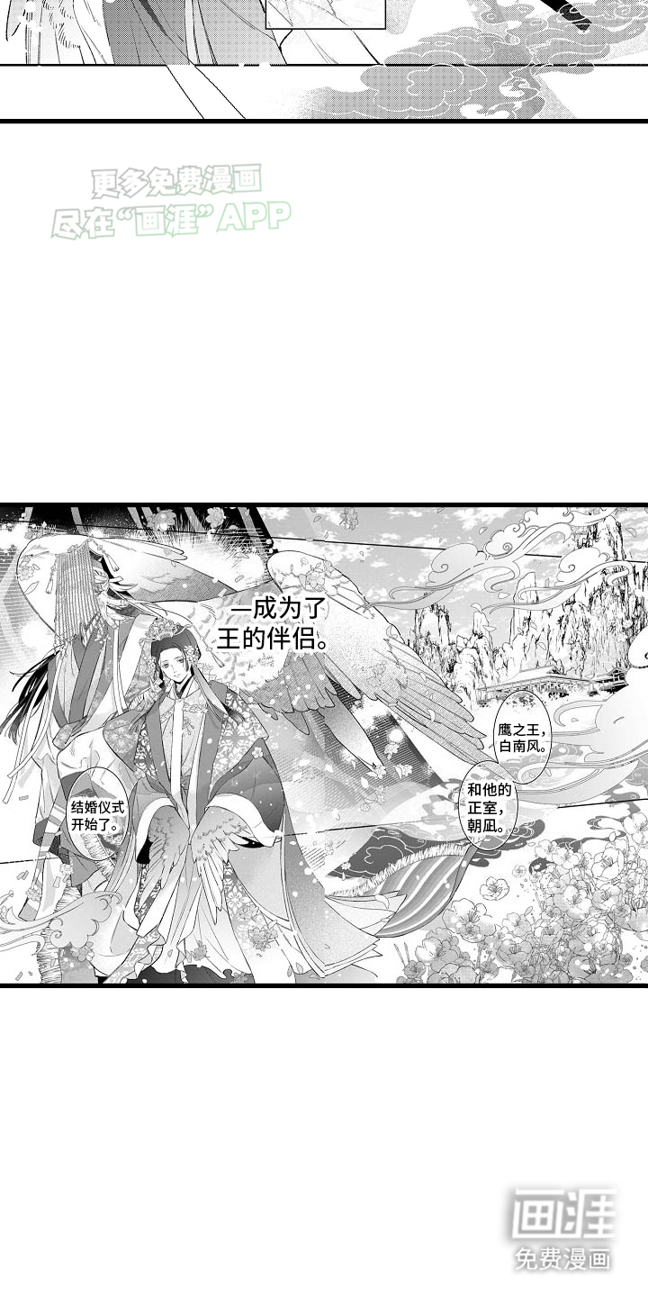 鹰王宠溺 第1话 第2页