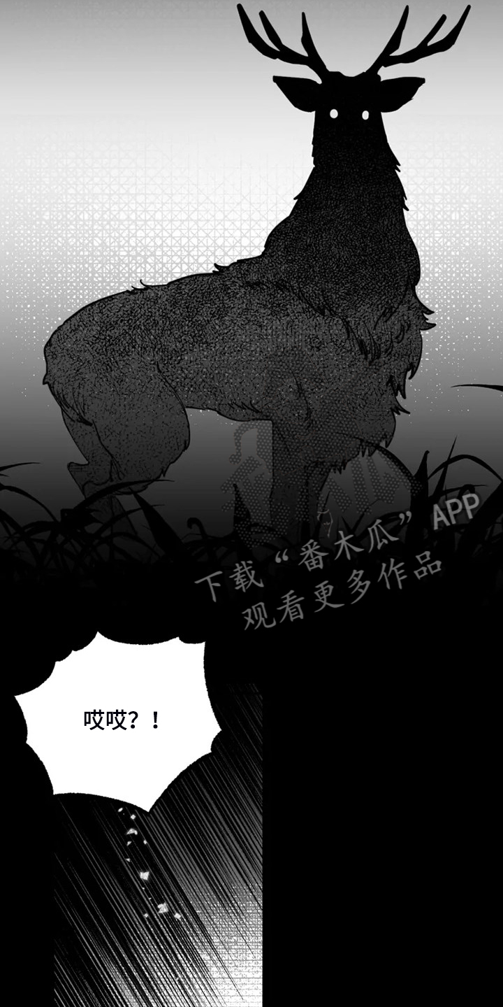 独行舞者 第46话 第5页