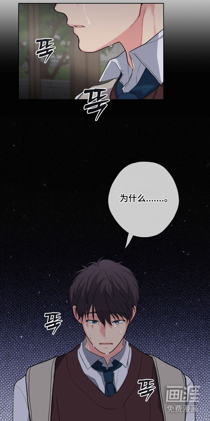 阴暗的幻觉 第52话 第36页