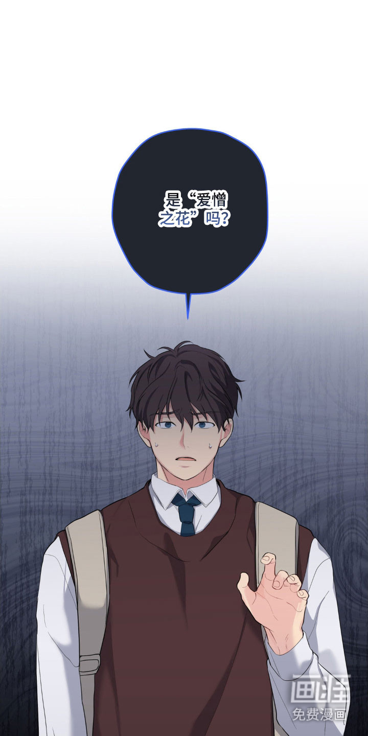 阴暗的幻觉 第47话 第35页