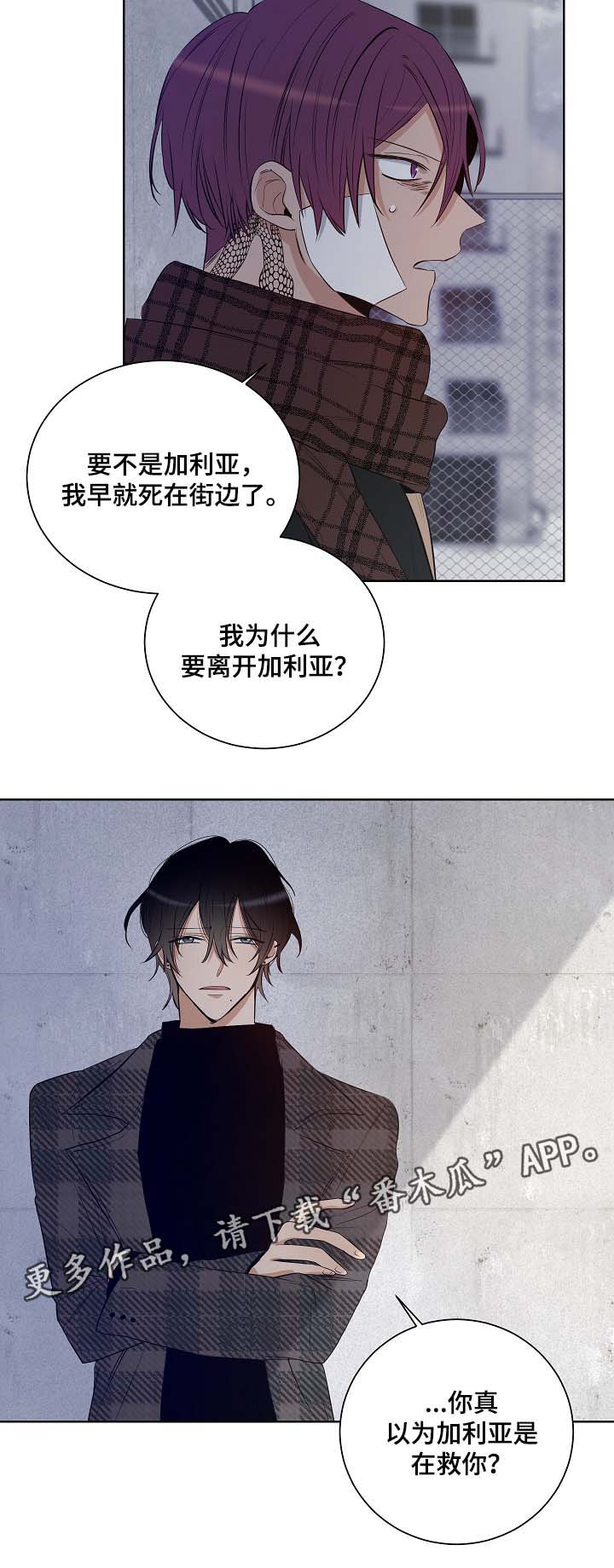 连环圈套 第33话 第15页