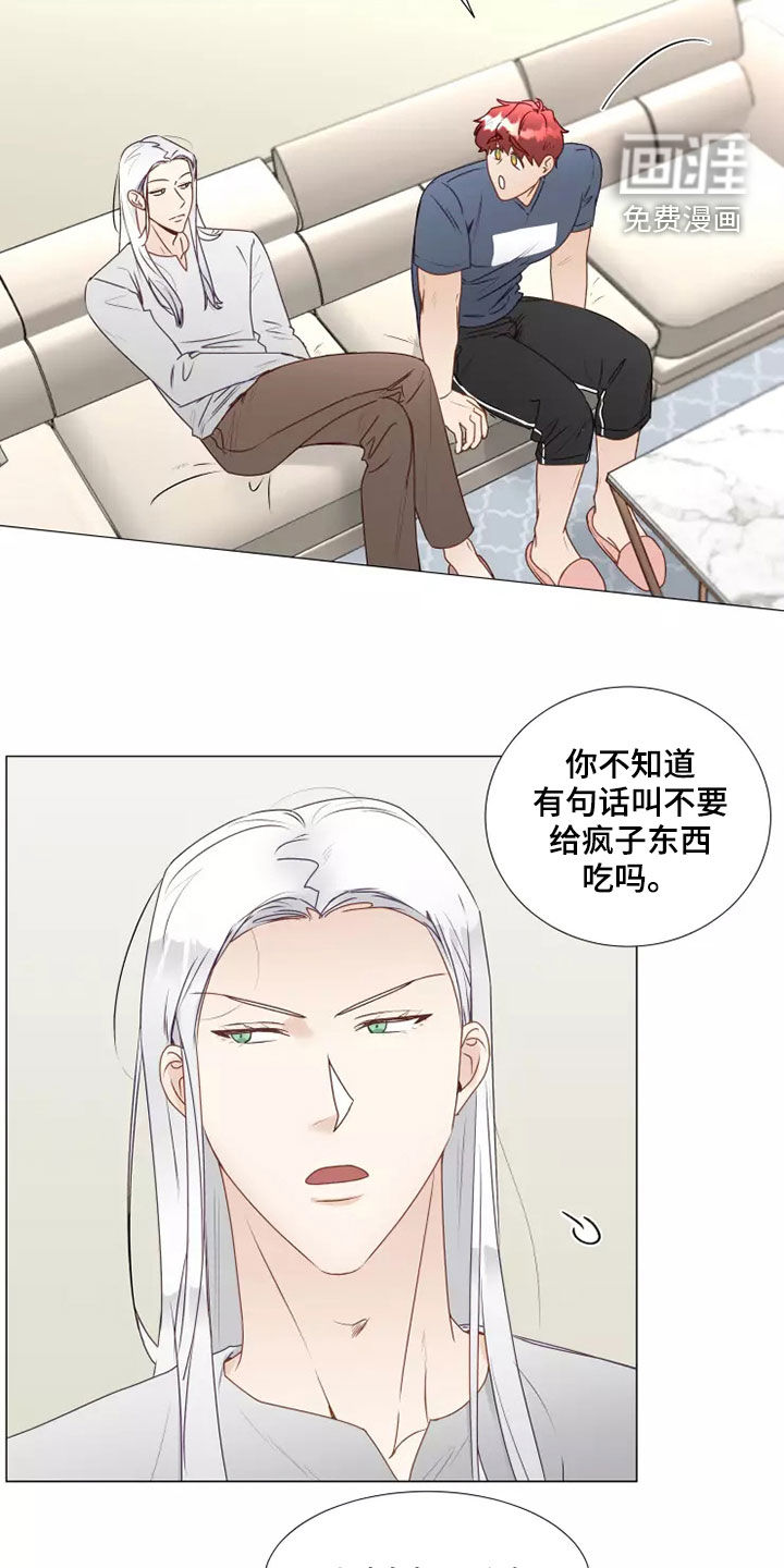 神的祭品先生 第34话 第11页