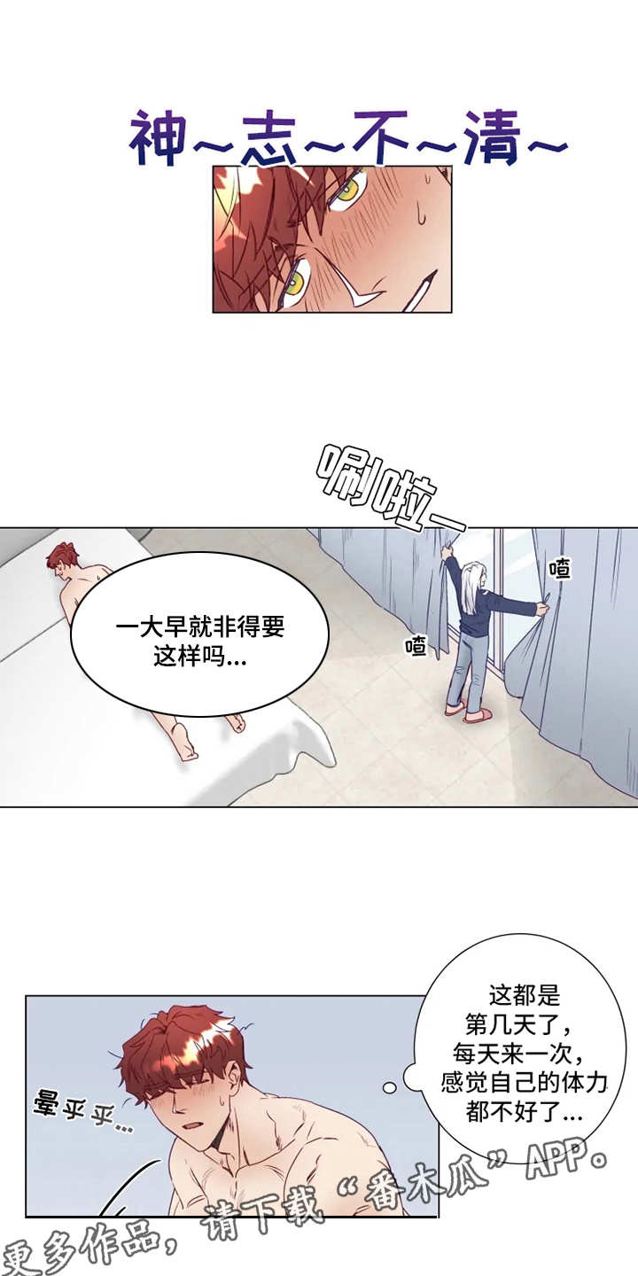 神的祭品先生 第7话 第11页
