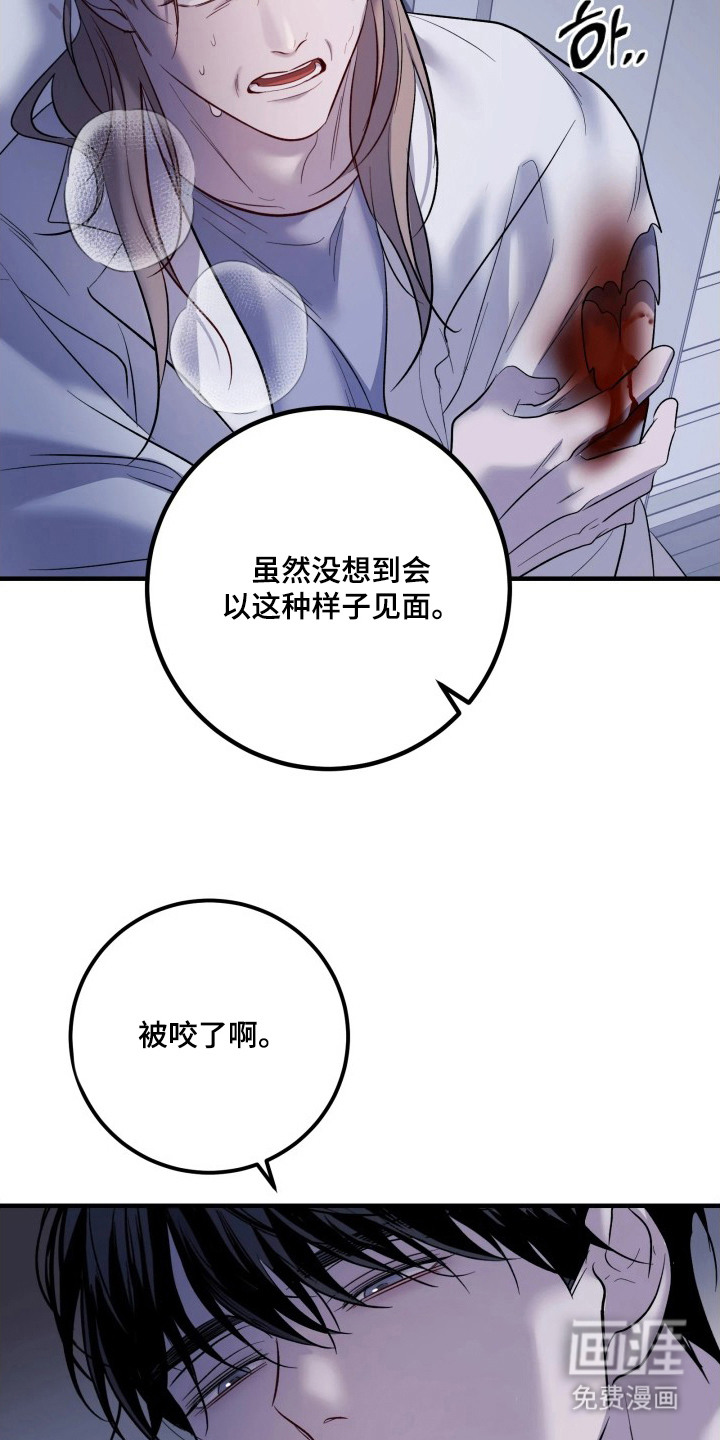 幻痛边境 第19话 第20页