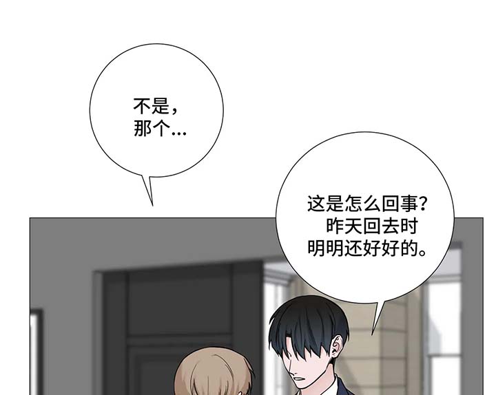 秘官 第93章：【第二季】关心 第1页