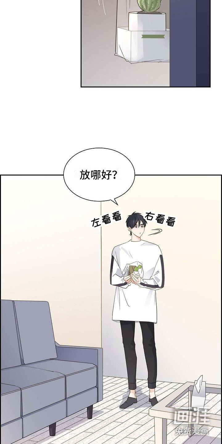 单向箭头 第17章：仙人掌 第13页