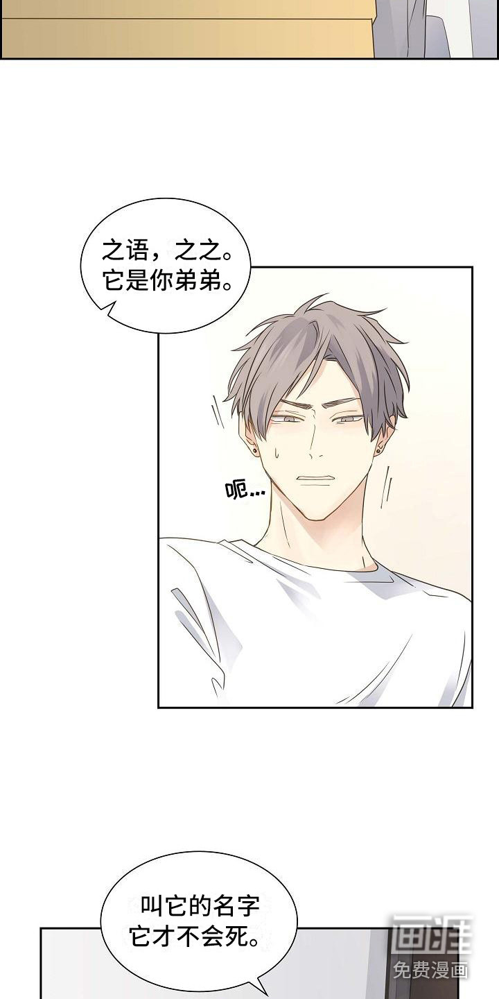 单向箭头 第18章：取名字 第13页