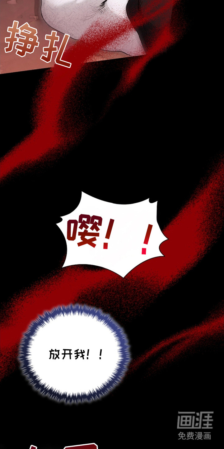 小白狗奇遇记 第1章：做噩梦 第11页