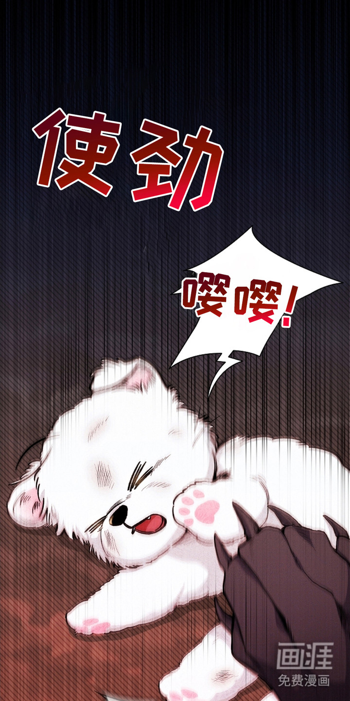 小白狗奇遇记 第1章：做噩梦 第7页
