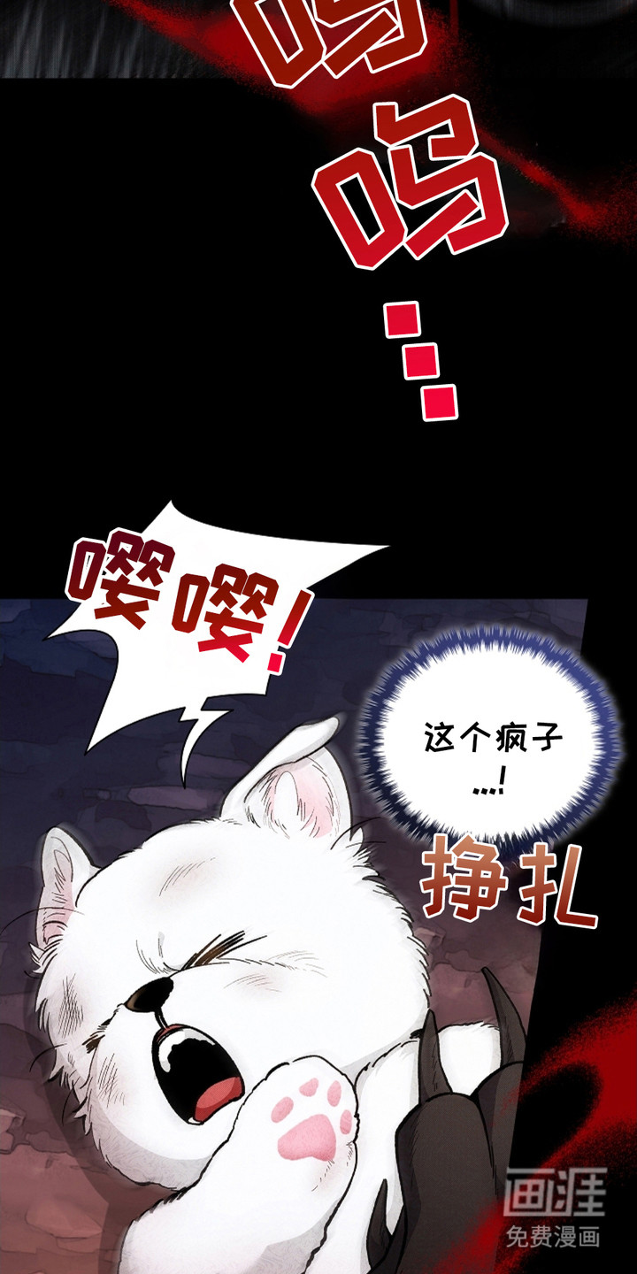 小白狗奇遇记 第1章：做噩梦 第10页