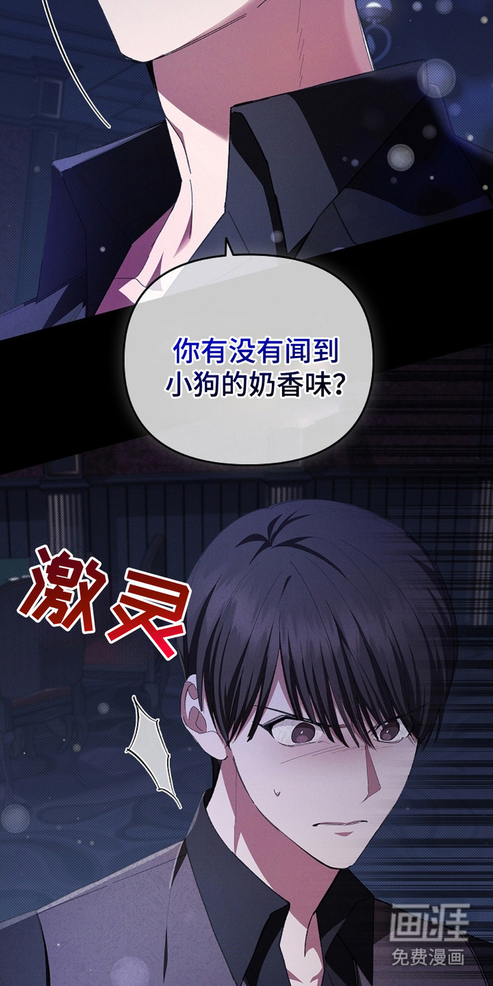 小白狗奇遇记 第2章：闯祸了 第12页