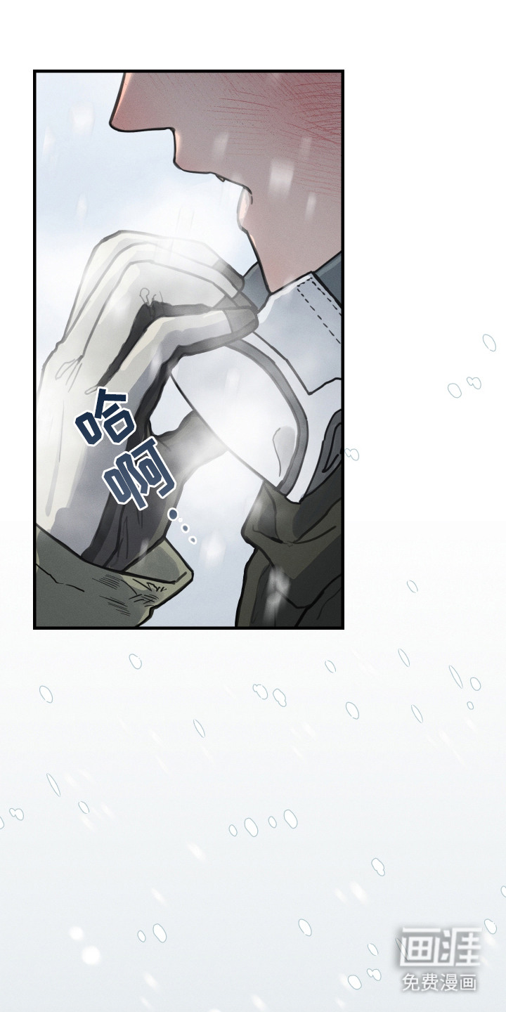 花落人未散 第1章：雪地 第5页