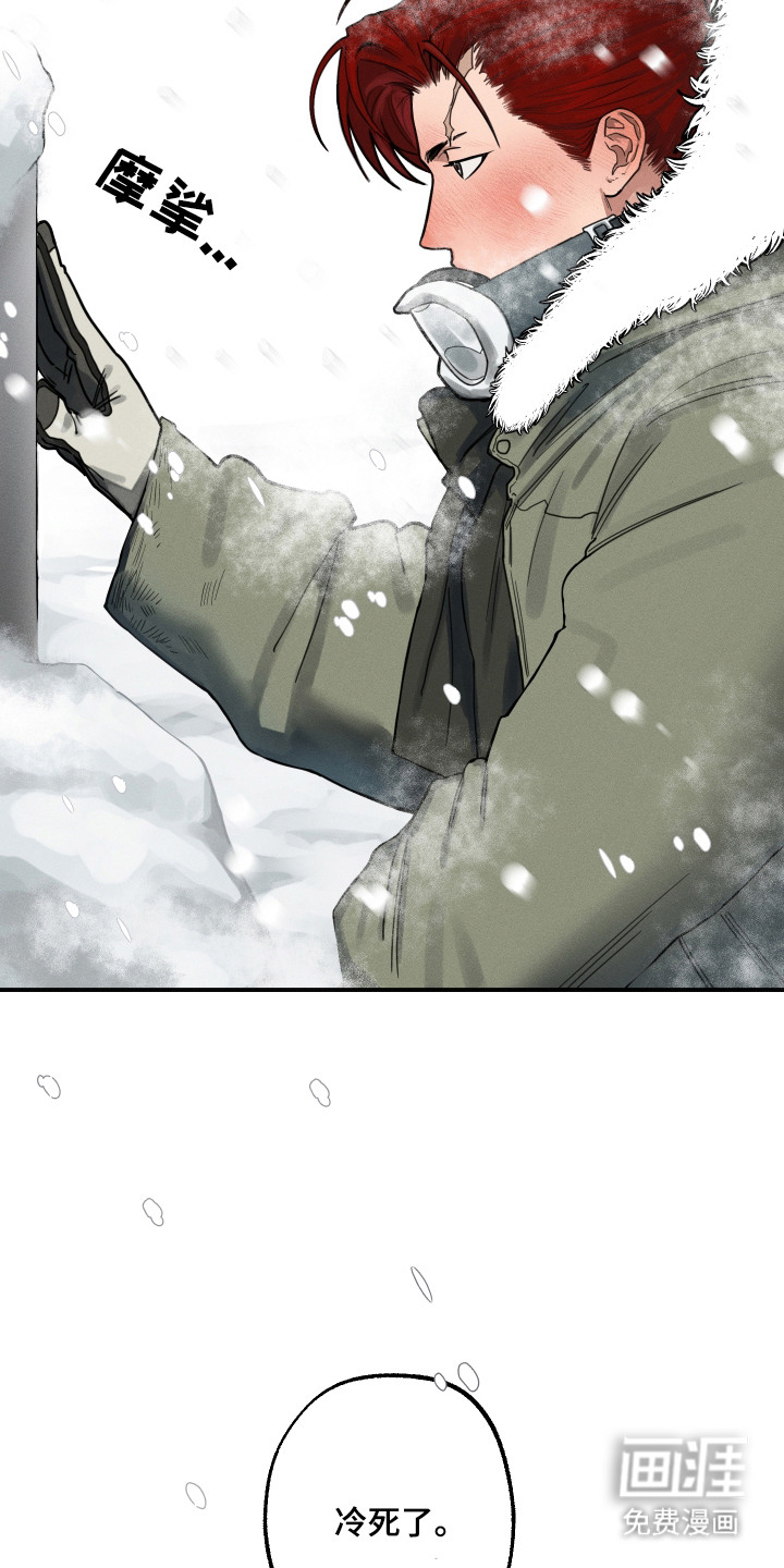 花落人未散 第1章：雪地 第8页