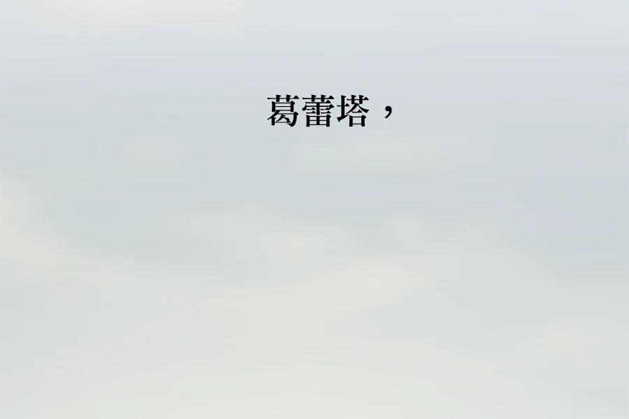 柠檬树之森 第5话 第269页