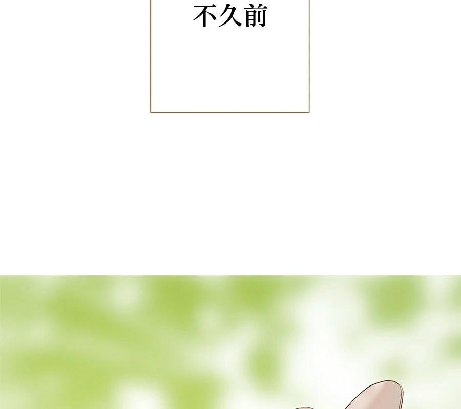 柠檬树之森 第6话 第71页