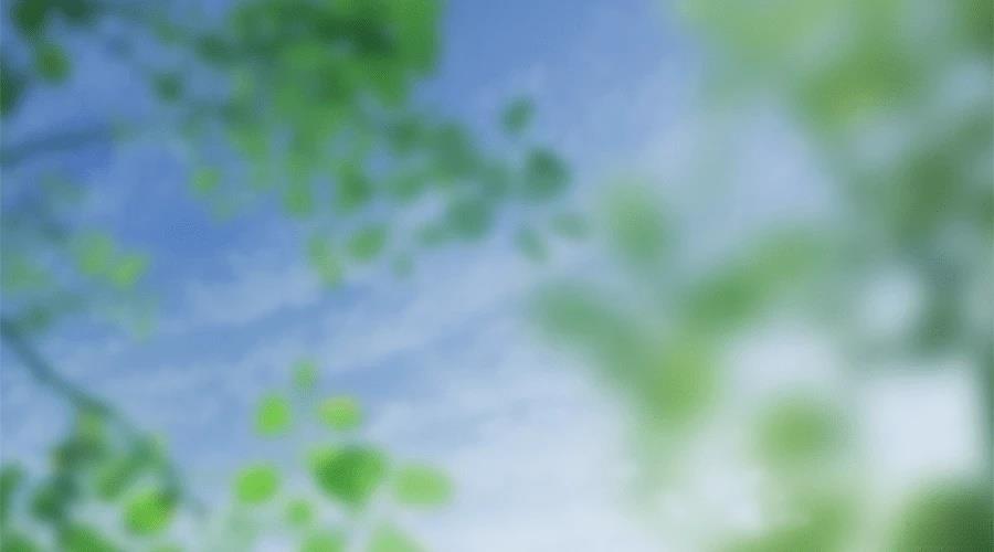 柠檬树之森 第7话 第348页