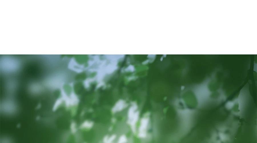 柠檬树之森 第7话 第365页