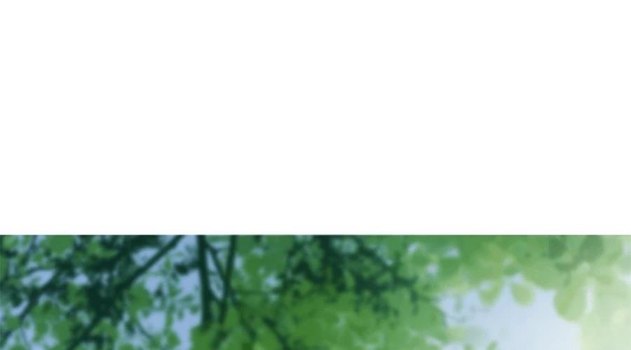 柠檬树之森 第7话 第369页