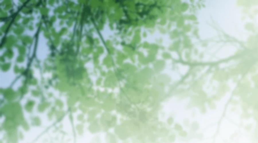 柠檬树之森 第7话 第370页