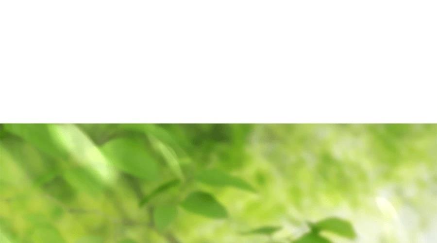 柠檬树之森 第7话 第40页
