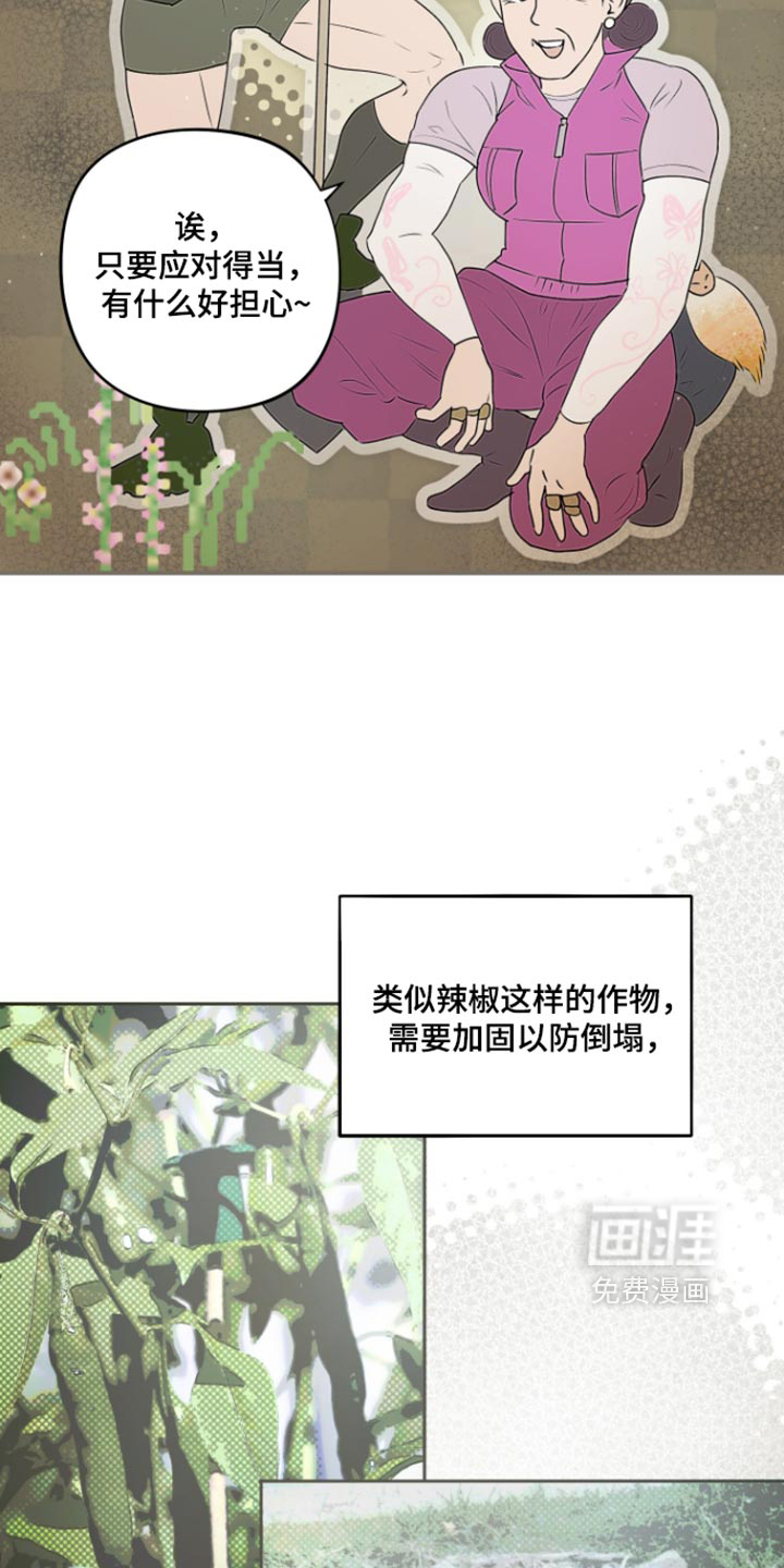 我们的百日田 第21话 第3页