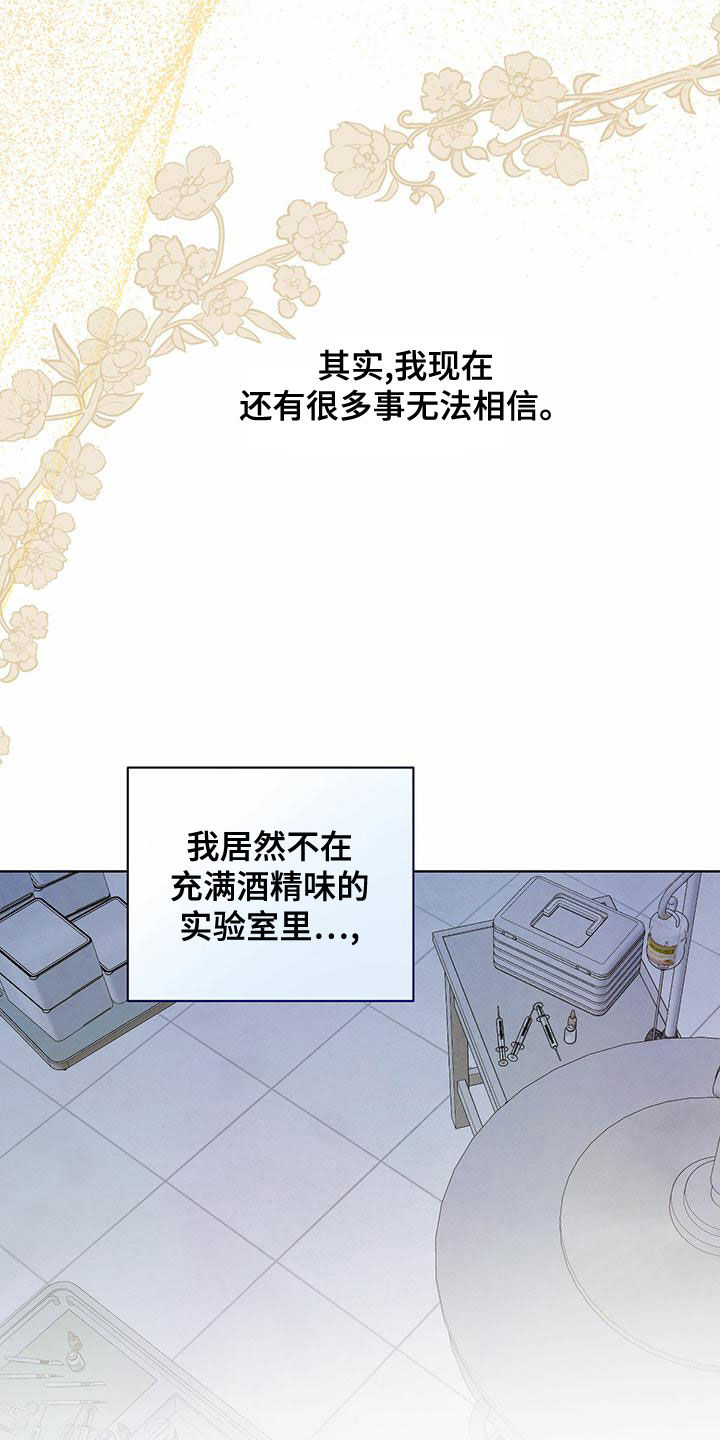 柳树浪漫史 第124话 第16页