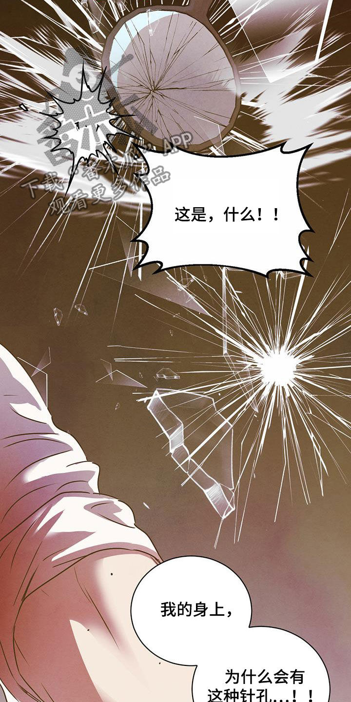 柳树浪漫史 第116话 第4页