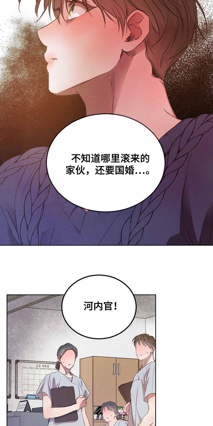 柳树浪漫史 第113话 第5页