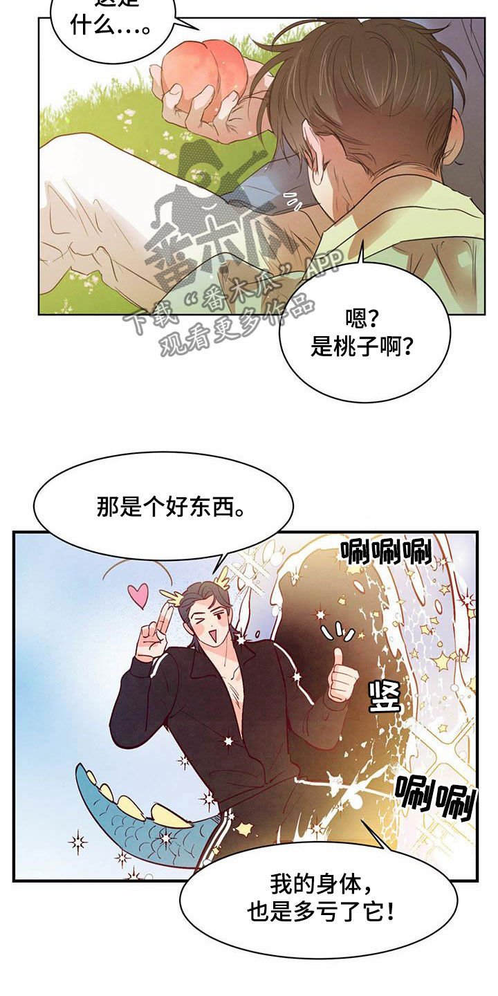 柳树浪漫史 第108话 第7页