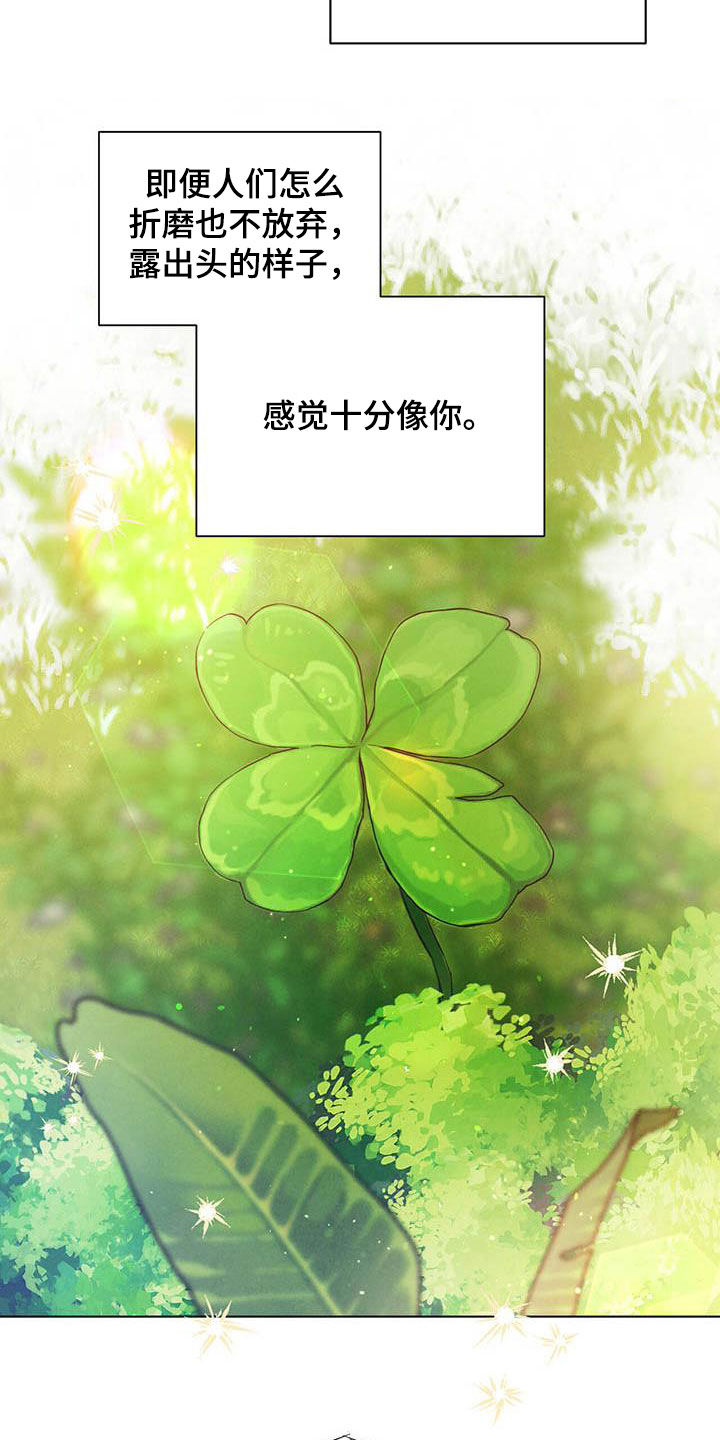 柳树浪漫史 第105话 第19页