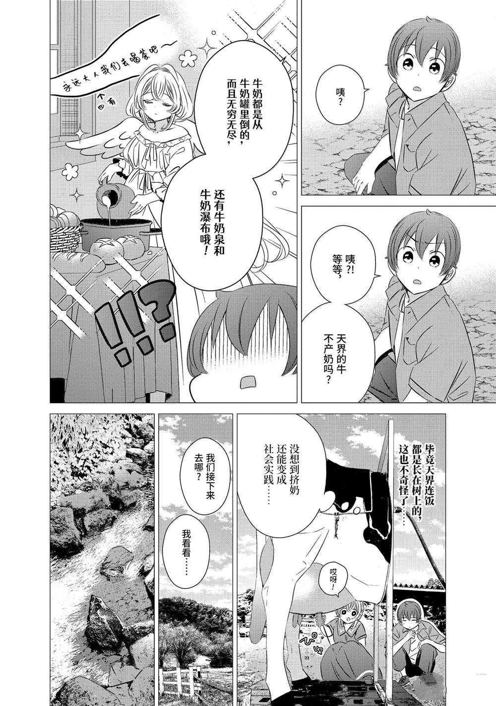 单间、光照尚好、附带天使。 第42话 第16页