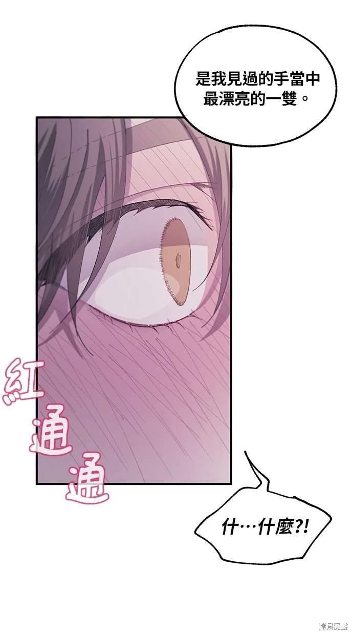 同学，我可以喜欢你吗？ 第63话 第48页