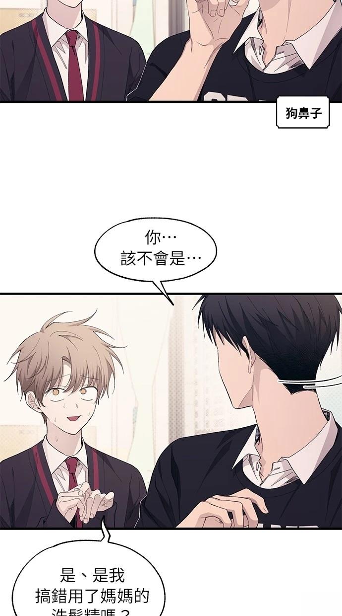 同学，我可以喜欢你吗？ 第98话 第41页