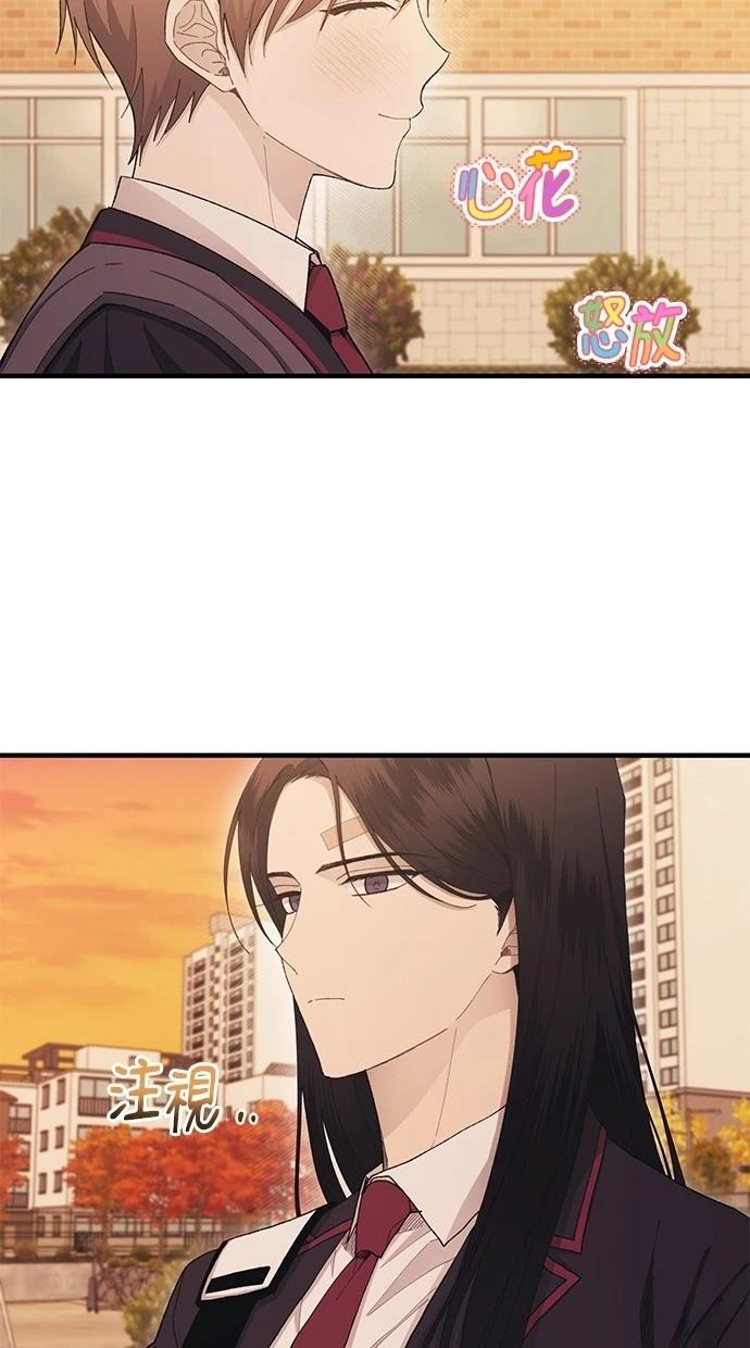 同学，我可以喜欢你吗？ 第111话 第49页