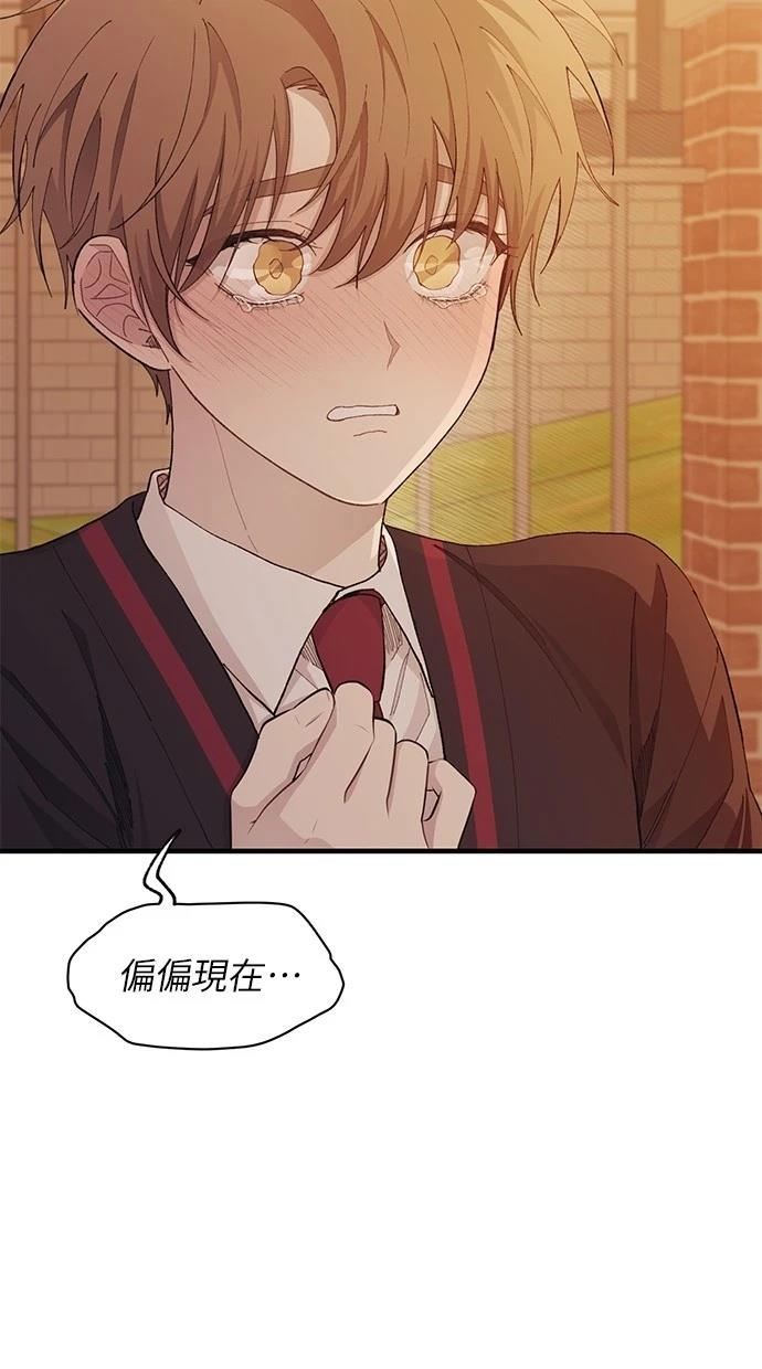 同学，我可以喜欢你吗？ 第117话 第72页