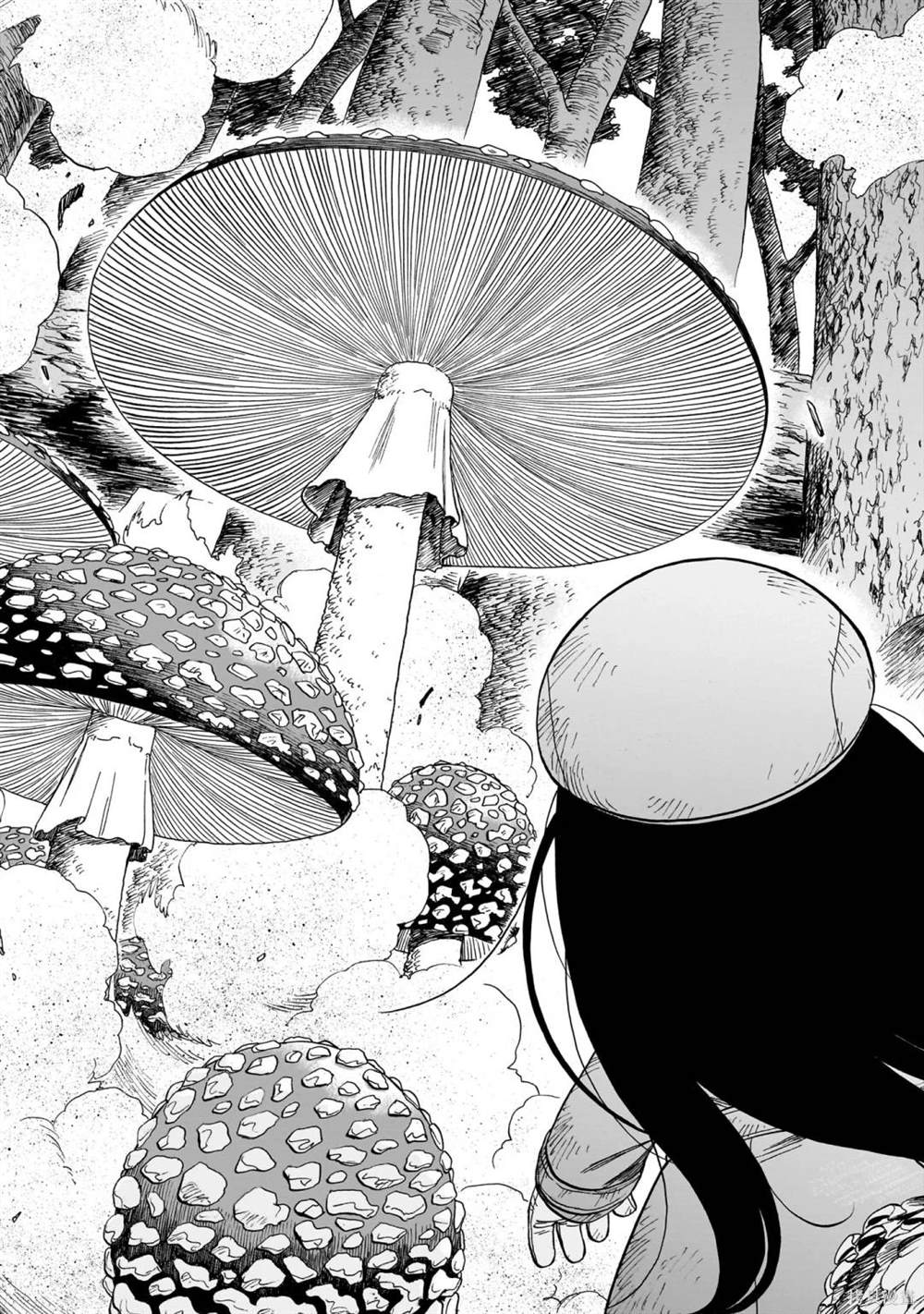 菇毒森林 第1话 第35页
