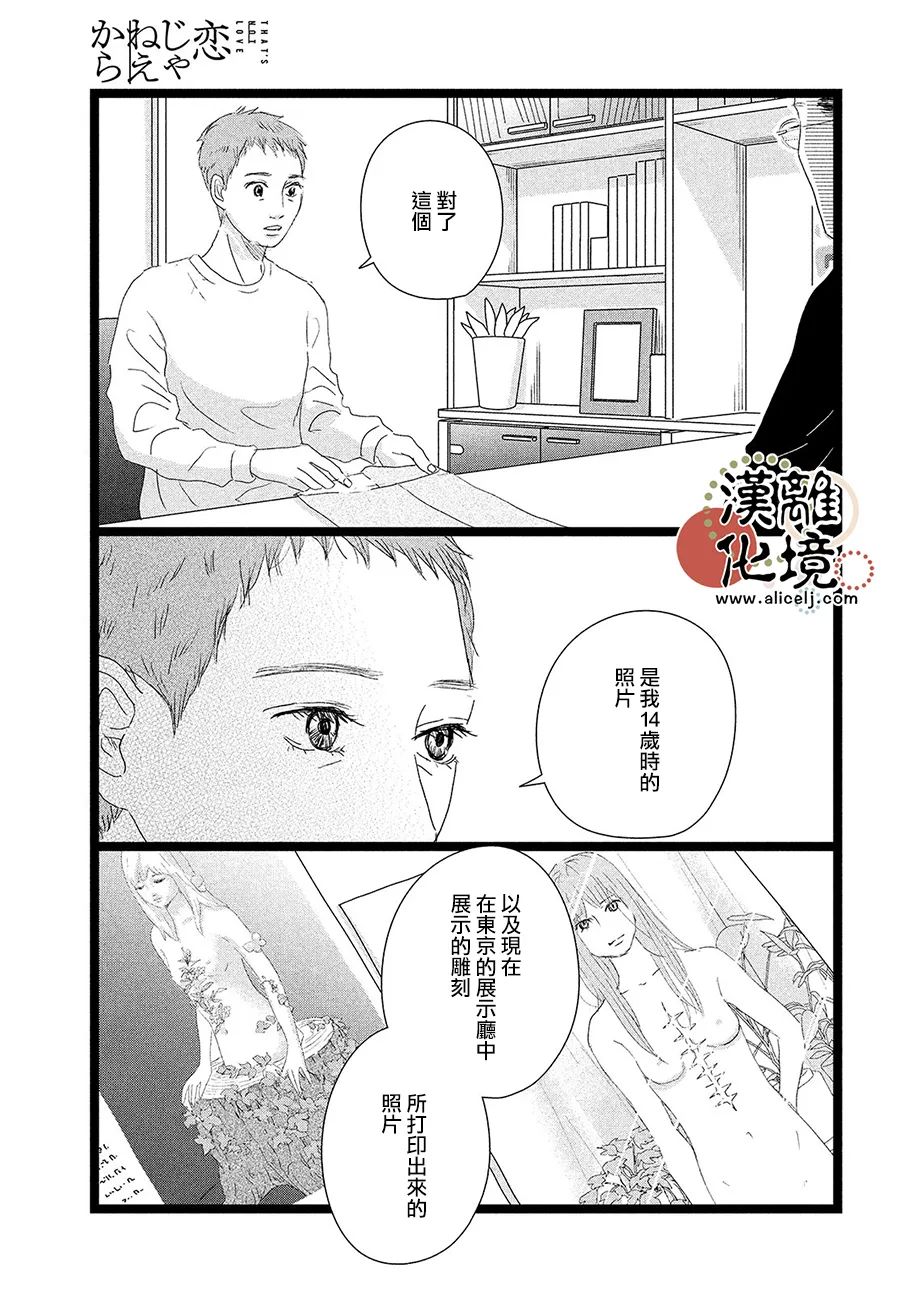 并非爱情 第9话 第29页