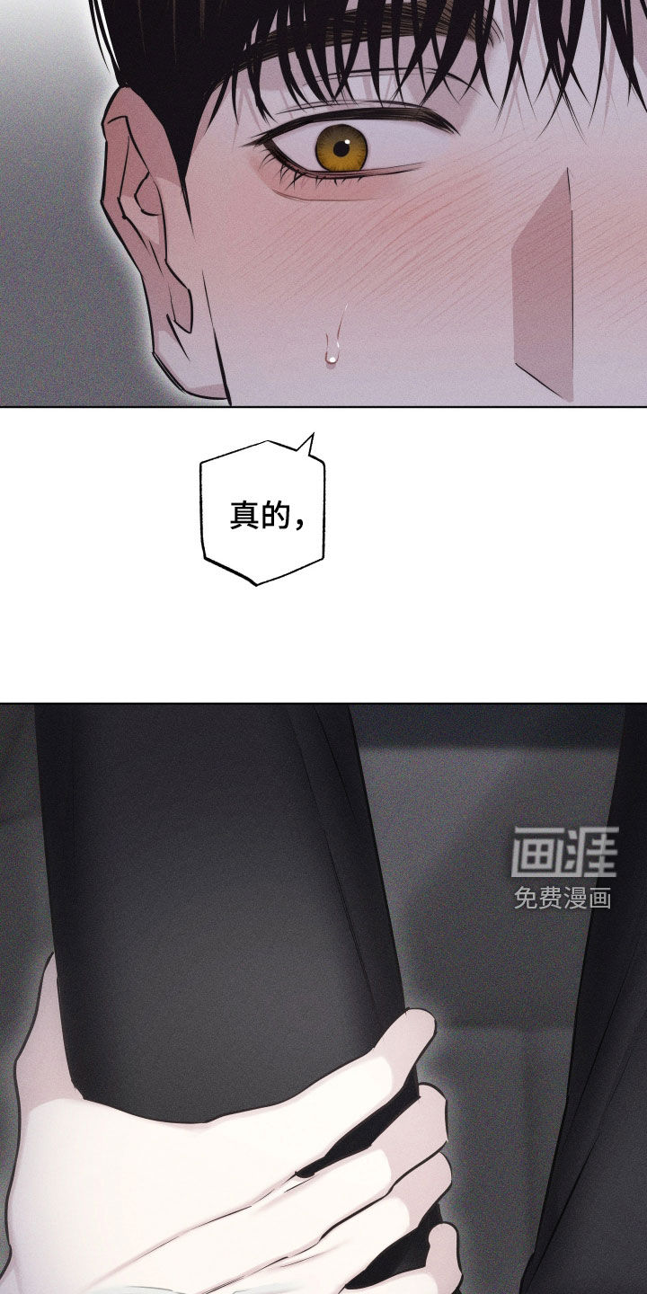 瓷器 第43话 第20页