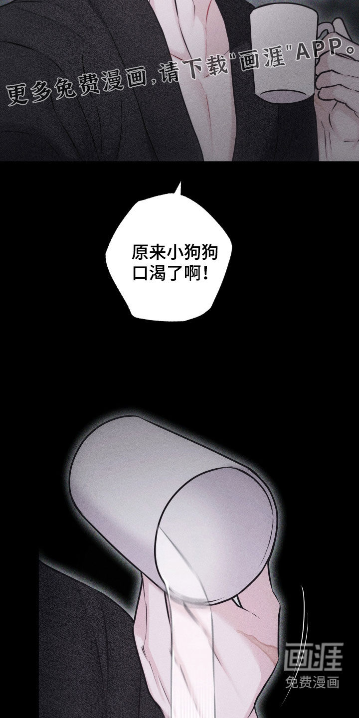 瓷器 第44话 第5页