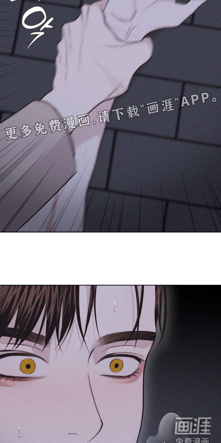 瓷器 第96话 第5页