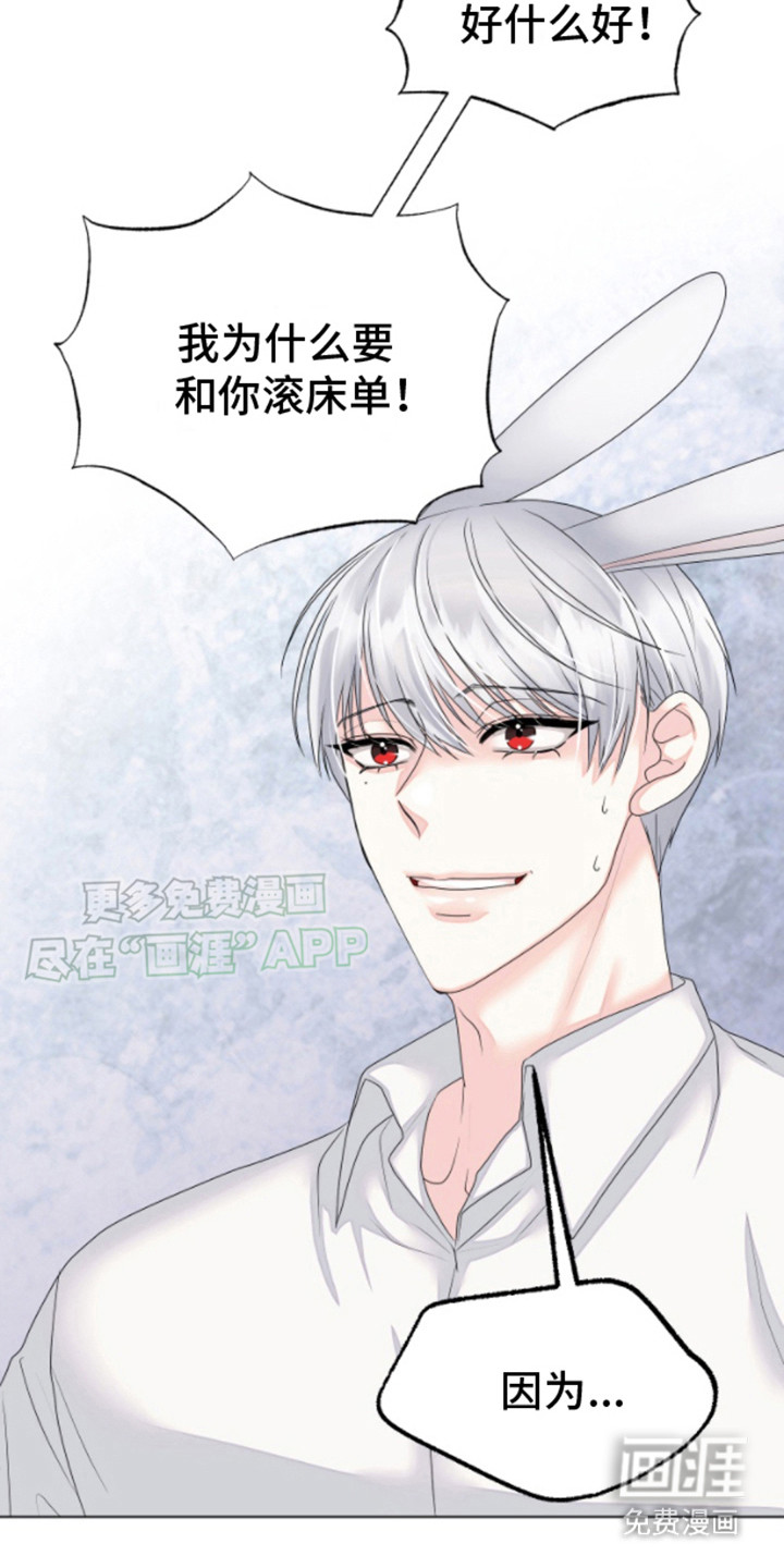 白兔为伴 第3话 第14页