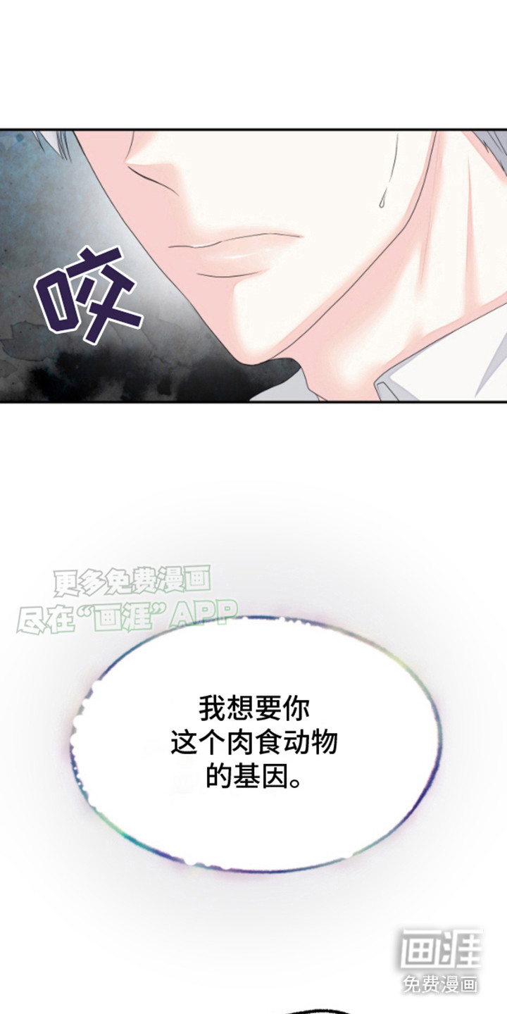 白兔为伴 第3话 第15页
