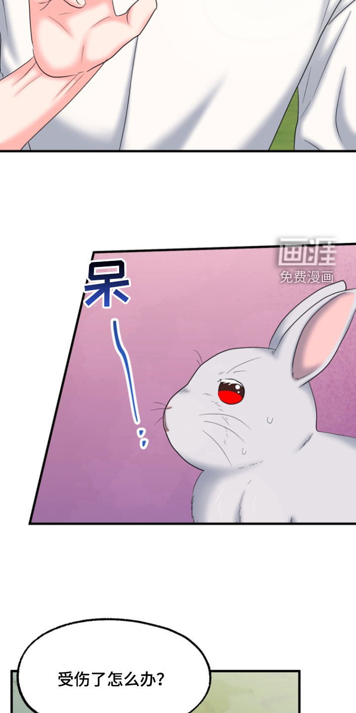 白兔为伴 第36话 第18页