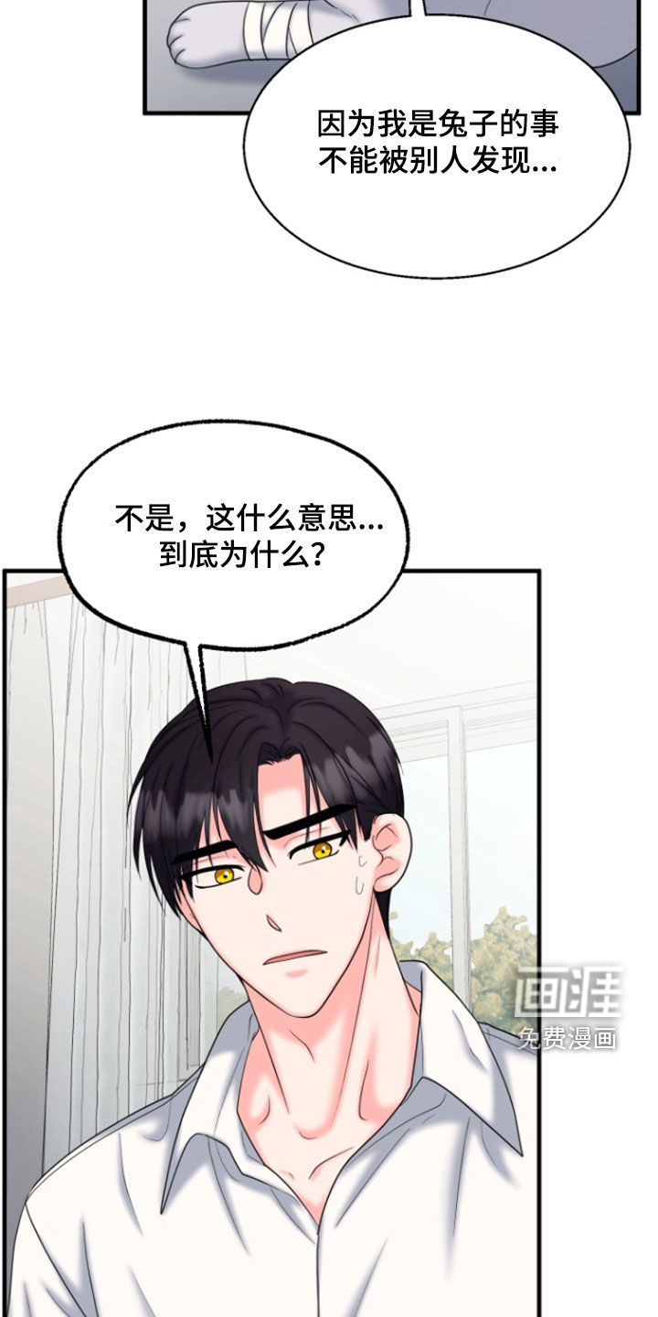 白兔为伴 第36话 第27页