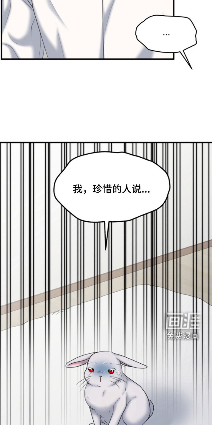 白兔为伴 第36话 第28页