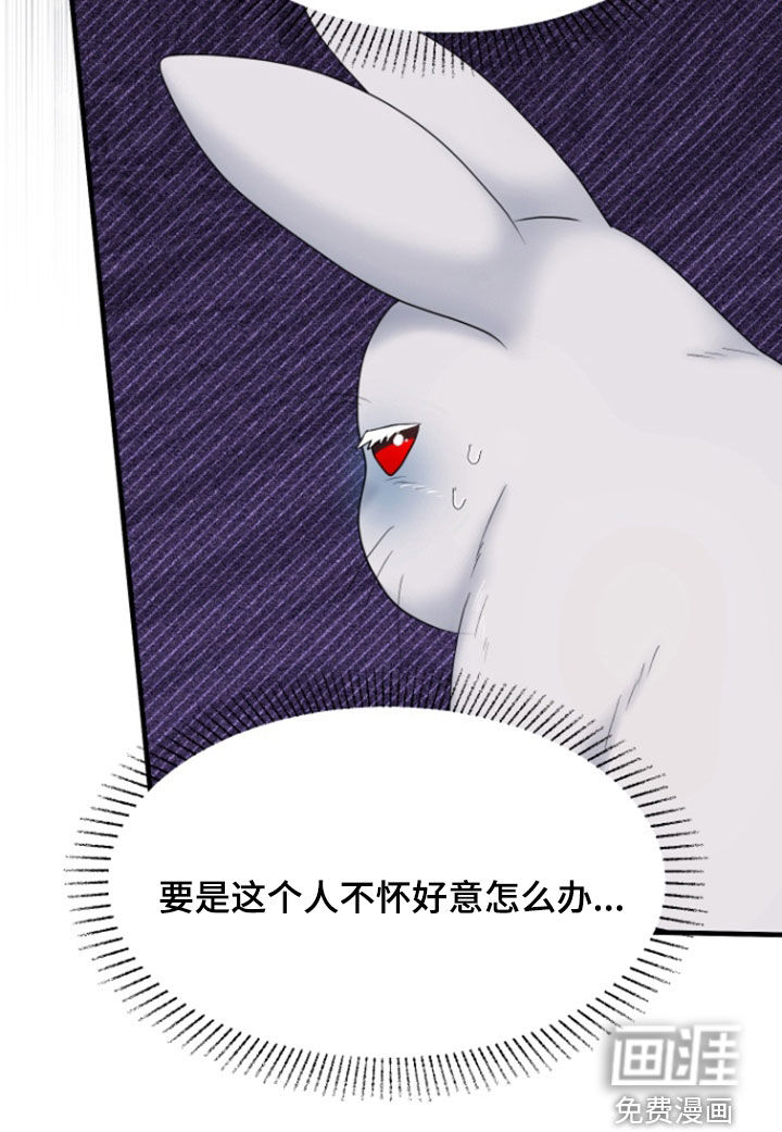白兔为伴 第36话 第31页