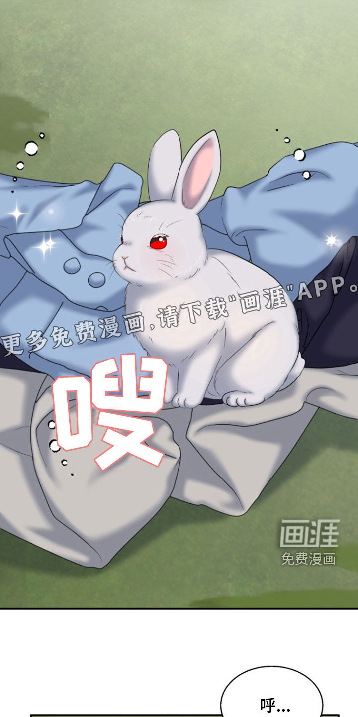 白兔为伴 第36话 第5页